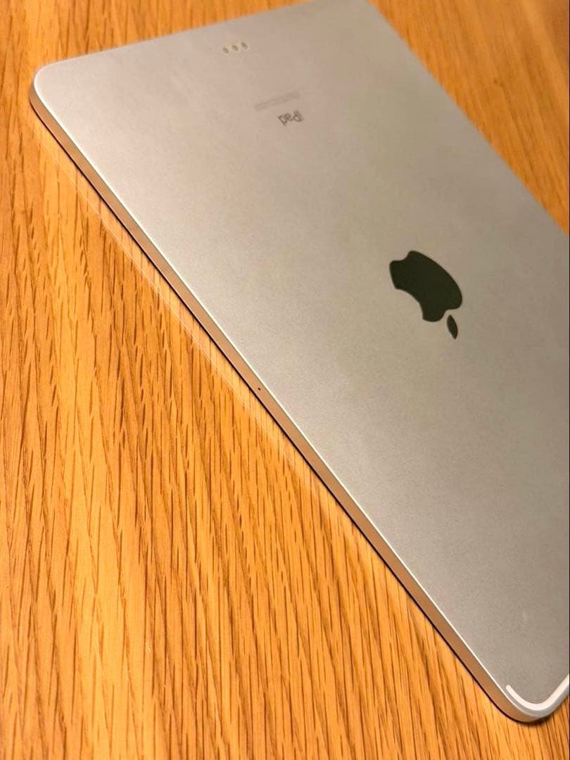 iPadPro 11インチ 第1世代 256GB Wi-Fi モデル