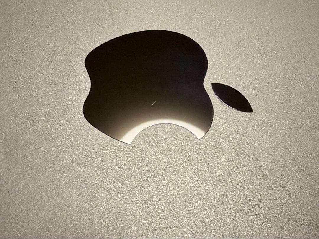 iPadPro 11インチ 第1世代 256GB Wi-Fi モデル