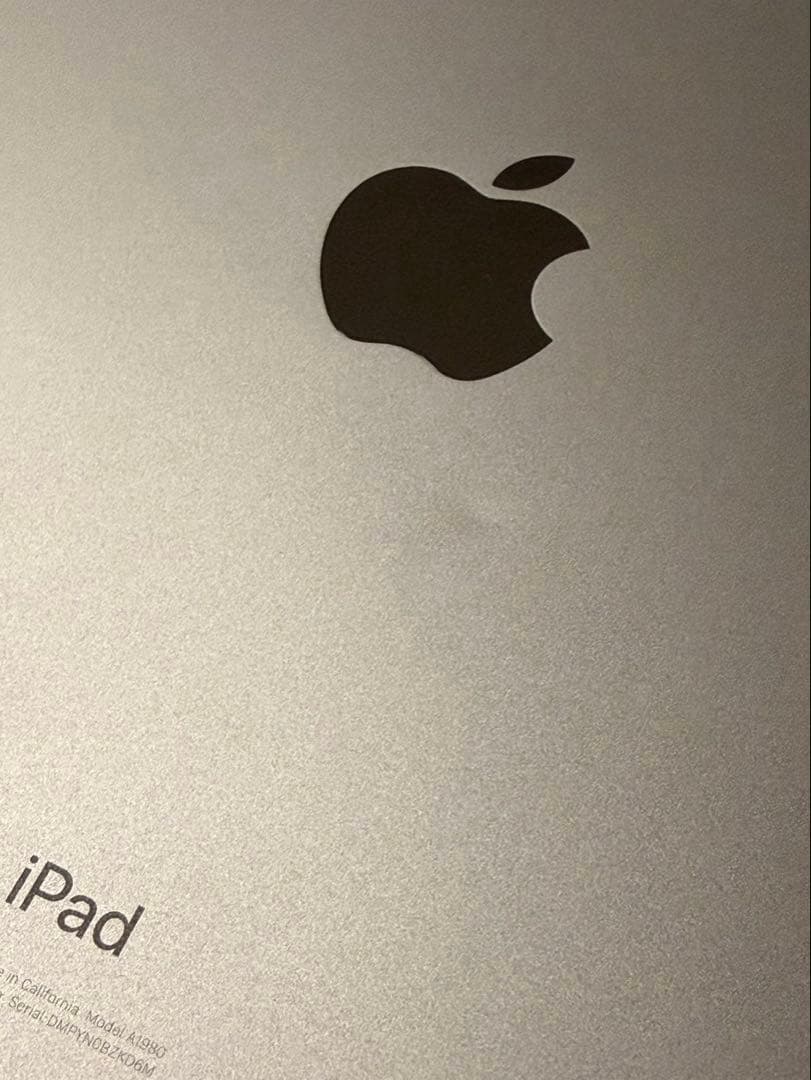 iPadPro 11インチ 第1世代 256GB Wi-Fi モデル