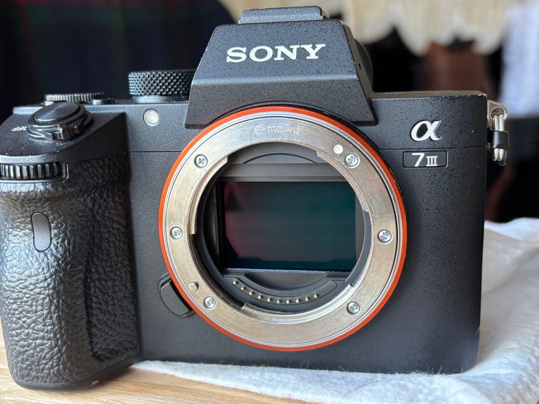 【おまけ付き】SONY α7 III ミラーレス一眼