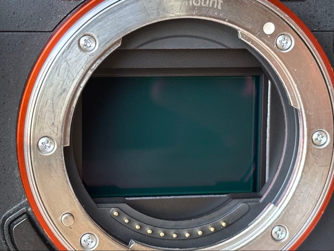 【おまけ付き】SONY α7 III ミラーレス一眼