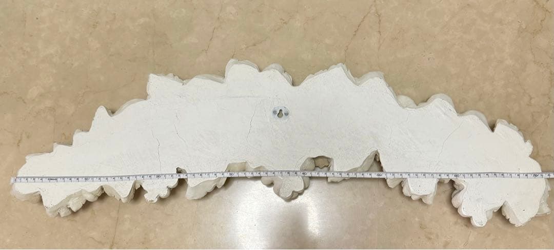 ウォールデコ　メダリオン　壁飾り　コクシグル　ブランマリクロ　サラグレース