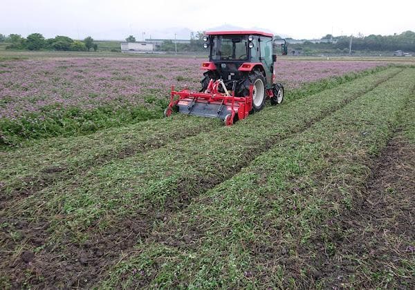 6年産　古米　兵庫播州れんげ米　きぬむすめ　精米　極1等米10Kg　農直送料無料