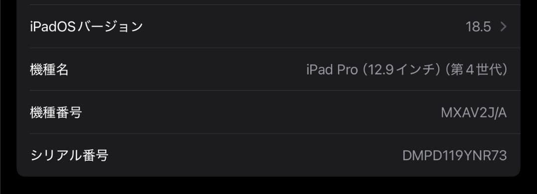 iPad Pro (12.9インチ) 第4世代　512GB 周辺機器付き