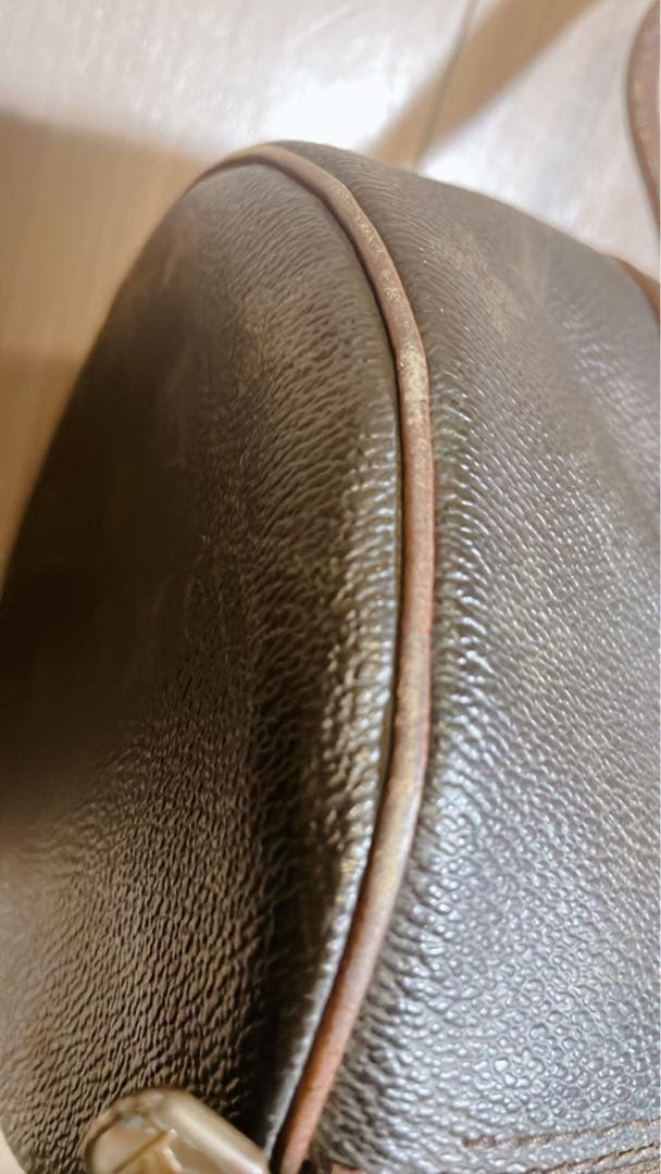 ルイヴィトン　パピオン　「ジャンク」