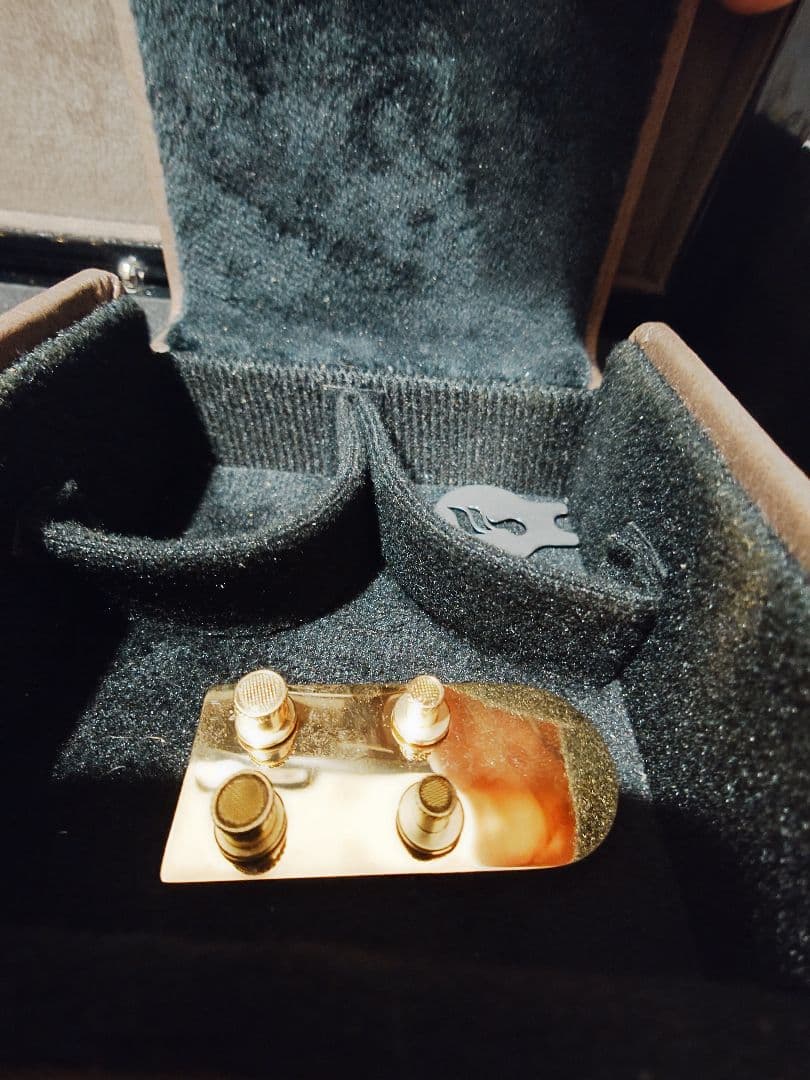 FiiO FDX 有線イヤホン　24Kメッキフラッグシップ