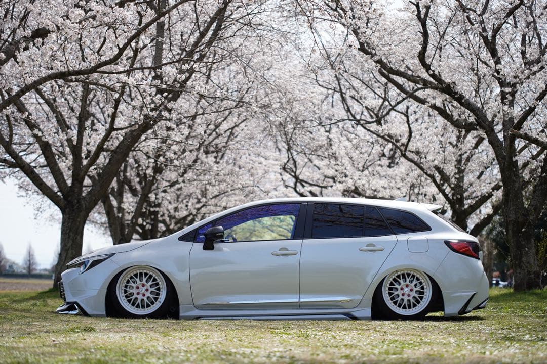 トヨタカローラツーリングハイブリッド219 エアサス　リア脚のみ50プリウスにも