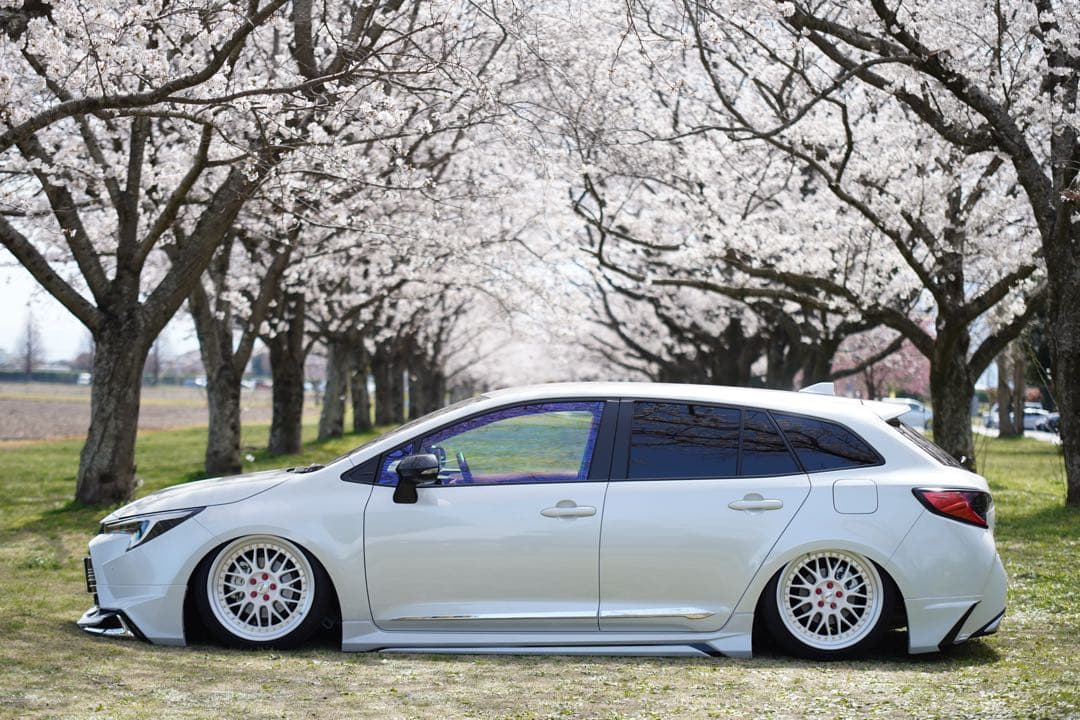 トヨタカローラツーリングハイブリッド219 エアサス　リア脚のみ50プリウスにも