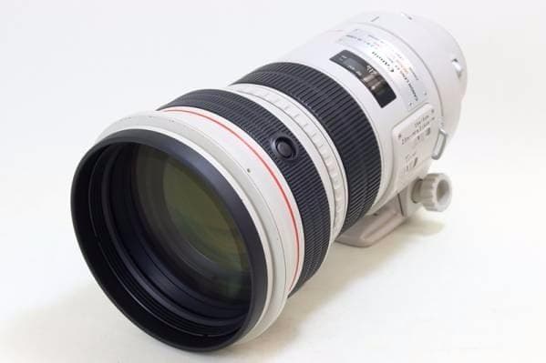 ●高級白レンズ 手ブレ　Canon EF 300mm F2.8 L IS USM