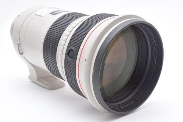 ●高級白レンズ 手ブレ　Canon EF 300mm F2.8 L IS USM