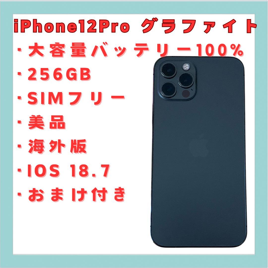 iPhone 12 Pro 256GB SIMフリー 海外版 美品 送料無料