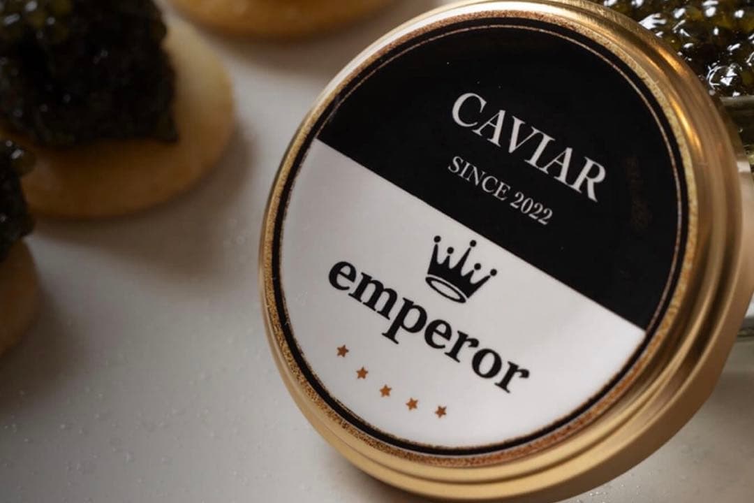 新品 キャビア epperor CAVIAR 4個セット