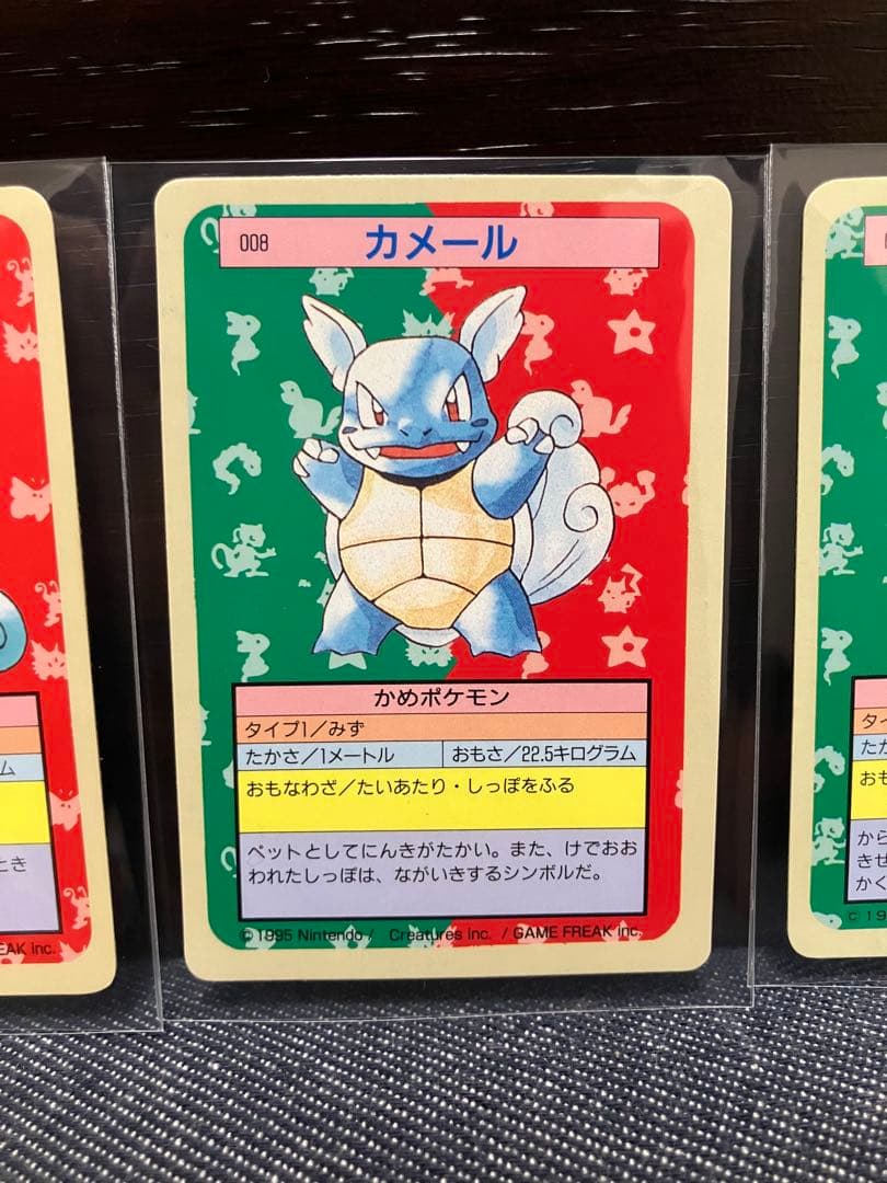 トップサン　ゼニガメ・カメール・カメックス