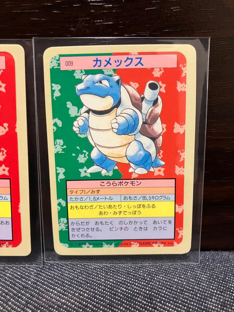 トップサン　ゼニガメ・カメール・カメックス