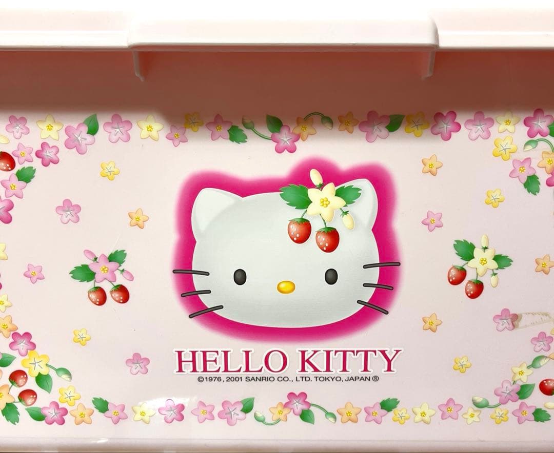 【希少】平成レトロ キティちゃん 野いちご オープンケース収納ケース2点セット