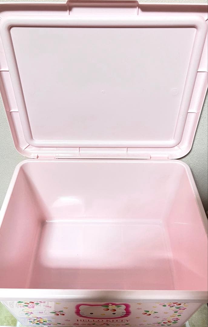 【希少】平成レトロ キティちゃん 野いちご オープンケース収納ケース2点セット