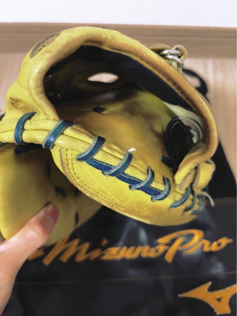 ミズノプロ　キャッチャーミット(お値下げ対応中)