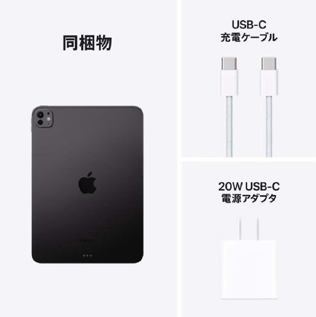 iPad Pro 第5世代 M4 256GB 11インチ 未使用品 d4834