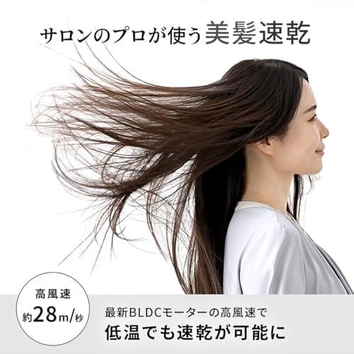 Onedam ワンダム ヘアドライヤー 海外対応 大風量 速乾 プラズマケア A