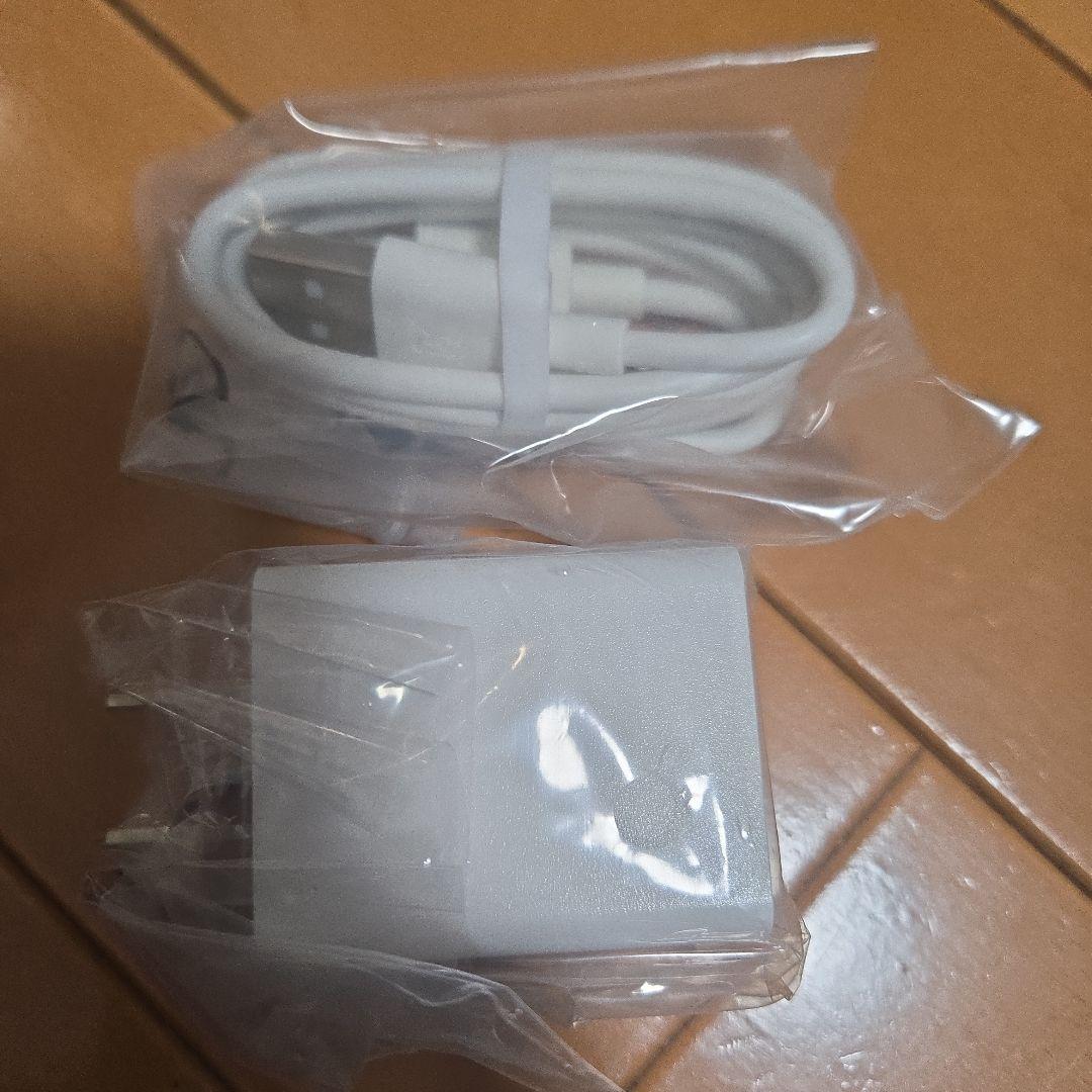 f*e様 iPlay60_mini_pro 128GB