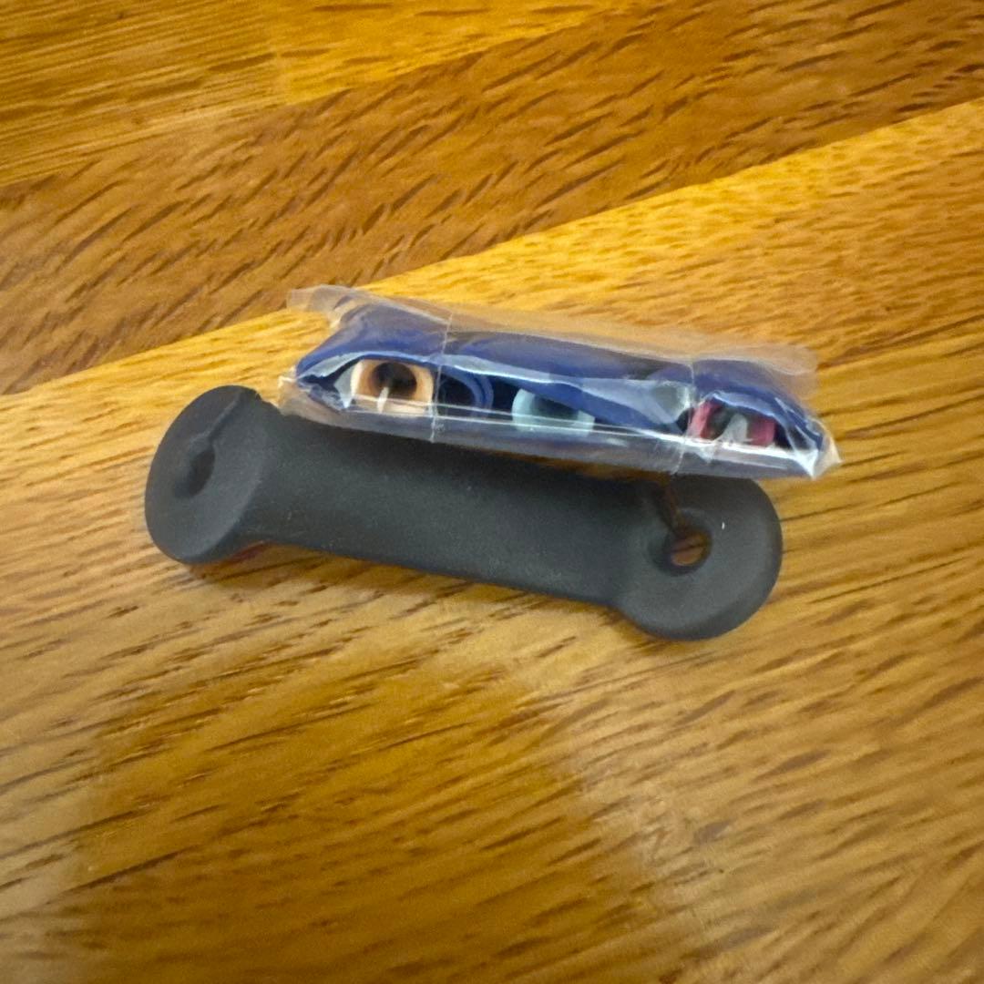 ソニー イヤホン カナル型 ブルー MDR-EX250 LI