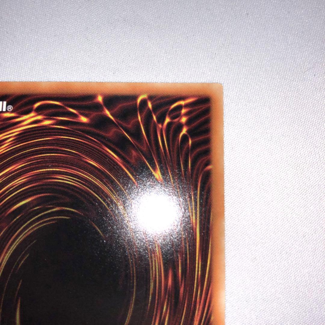 雷神龍 サンダードラゴン 20th シークレット シク