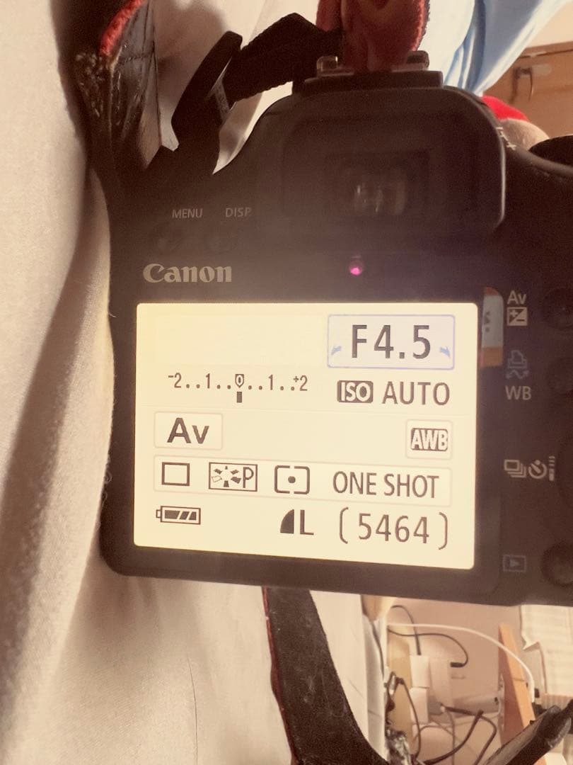 キャノン Canon Kiss X2 ボディとレンズ18〜200 他おまけレンズ