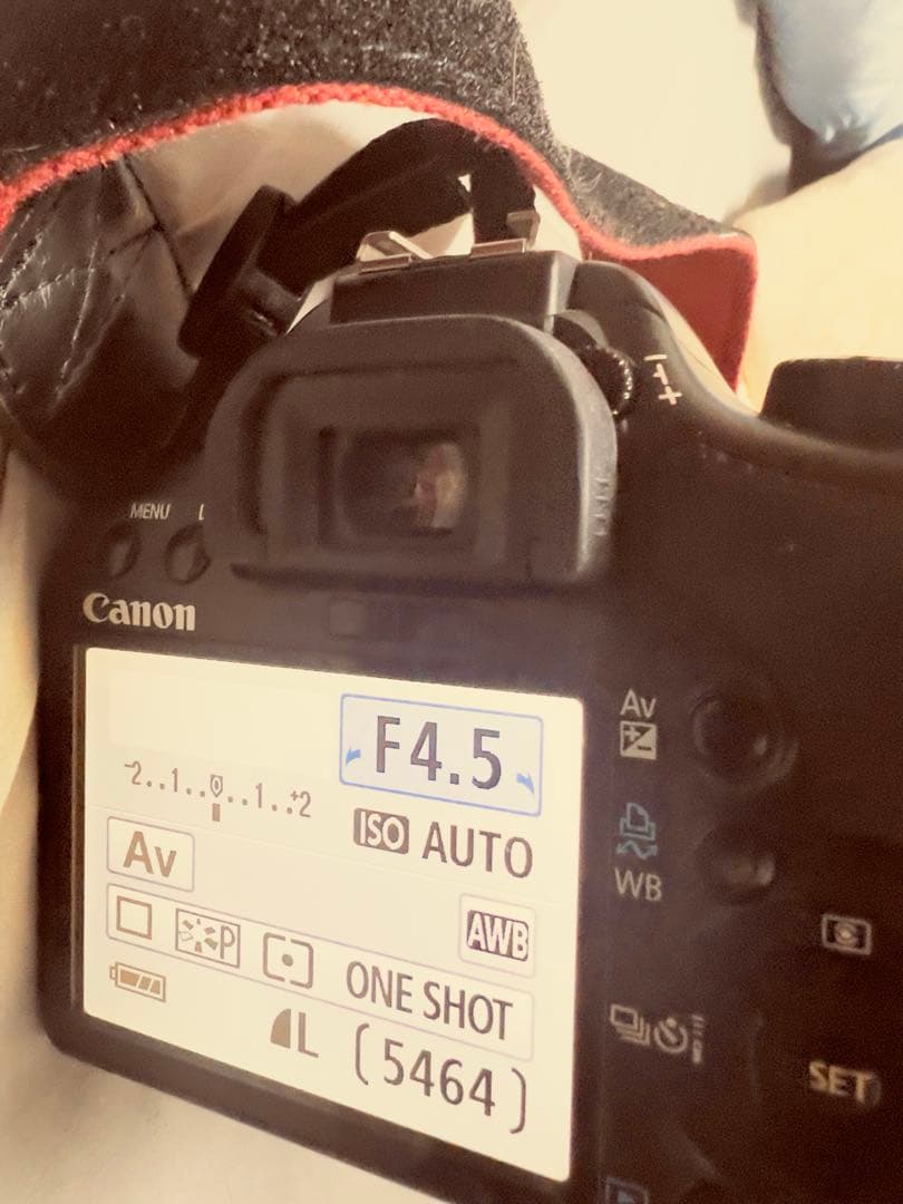 キャノン Canon Kiss X2 ボディとレンズ18〜200 他おまけレンズ