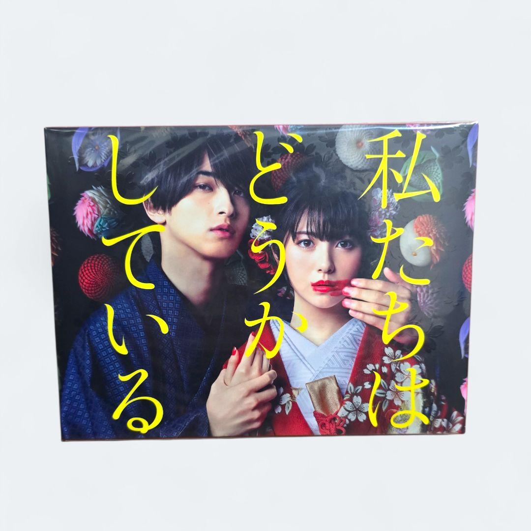 【新品未開封】私たちはどうかしている 公式ビジュアルDVD BOX セット