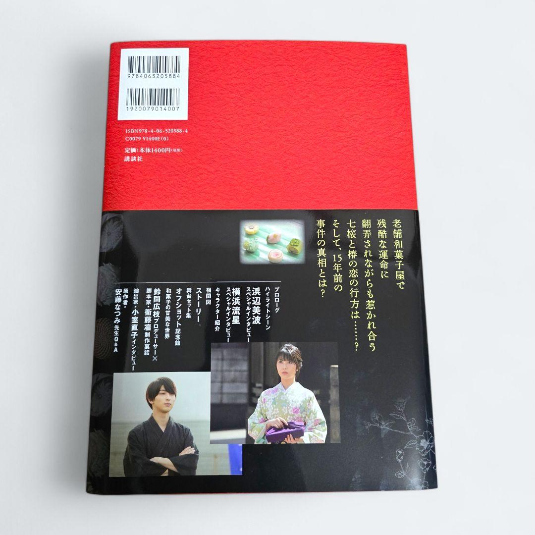 【新品未開封】私たちはどうかしている 公式ビジュアルDVD BOX セット