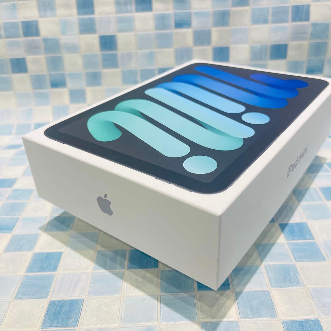 新品 Wi-Fi iPad mini 第7世代 本体 256GB スペースグレイ