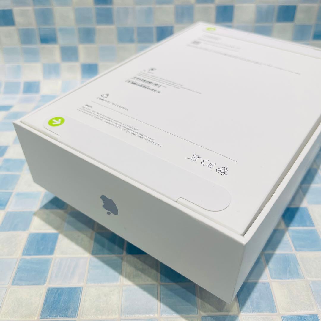 新品 Wi-Fi iPad mini 第7世代 本体 256GB スペースグレイ