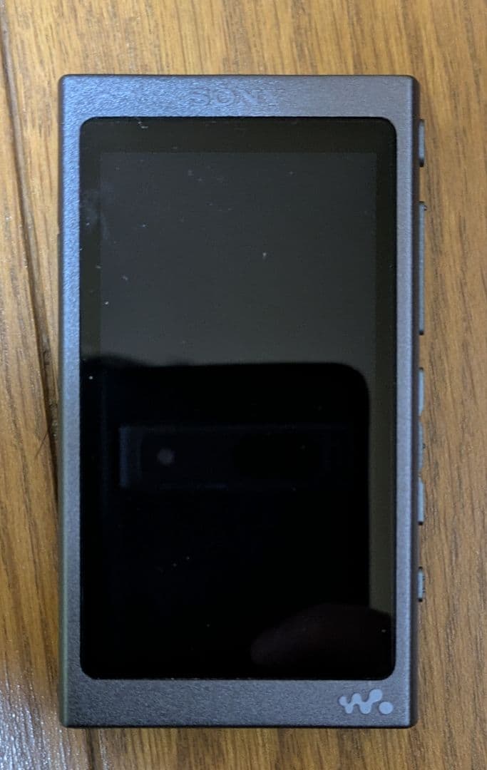 ソニー ウォークマン NW-A35 microSD 64GB付