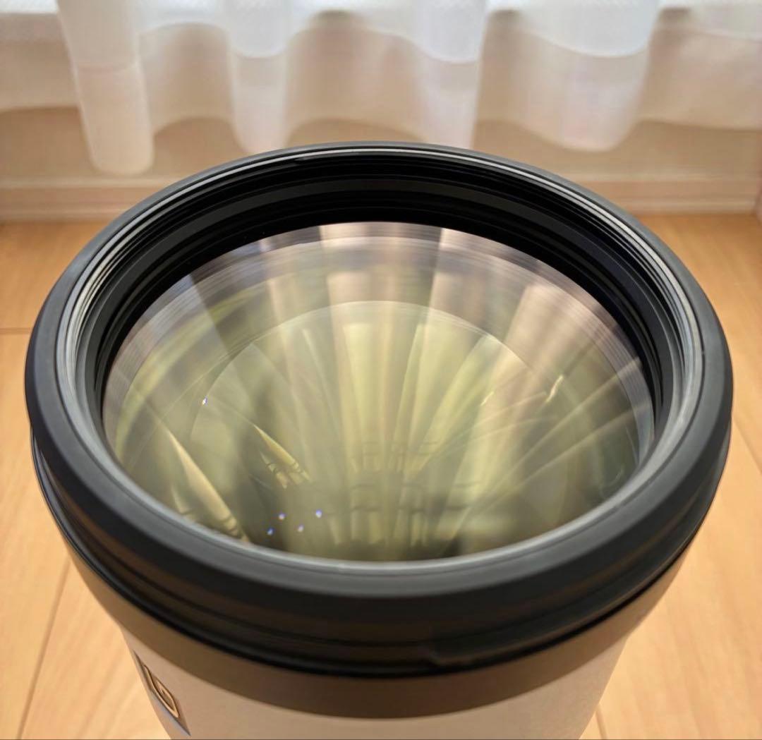 Sony FE 200-600mm F5.6-6.3 G OSS ズームレンズ