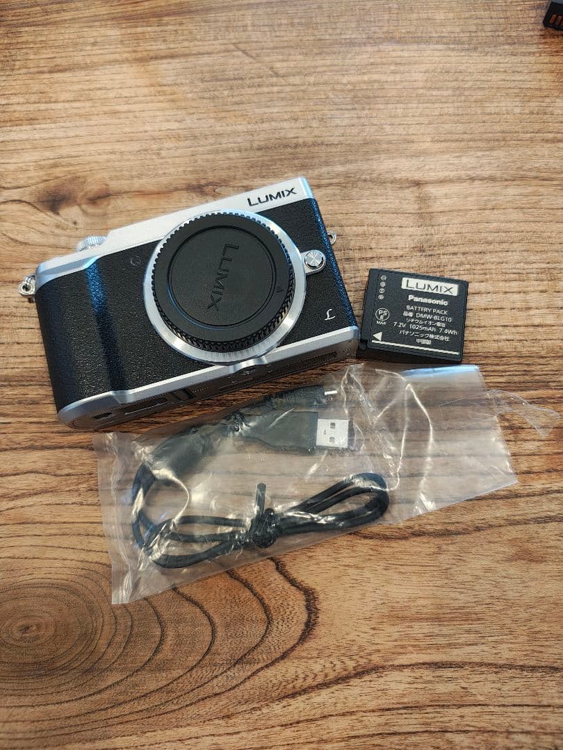 Panasonic DMC-GX7MK2 充電器 グレー