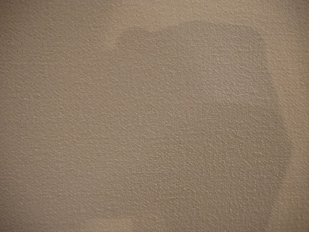 Panasonic DMC-GX7MK2 充電器 グレー