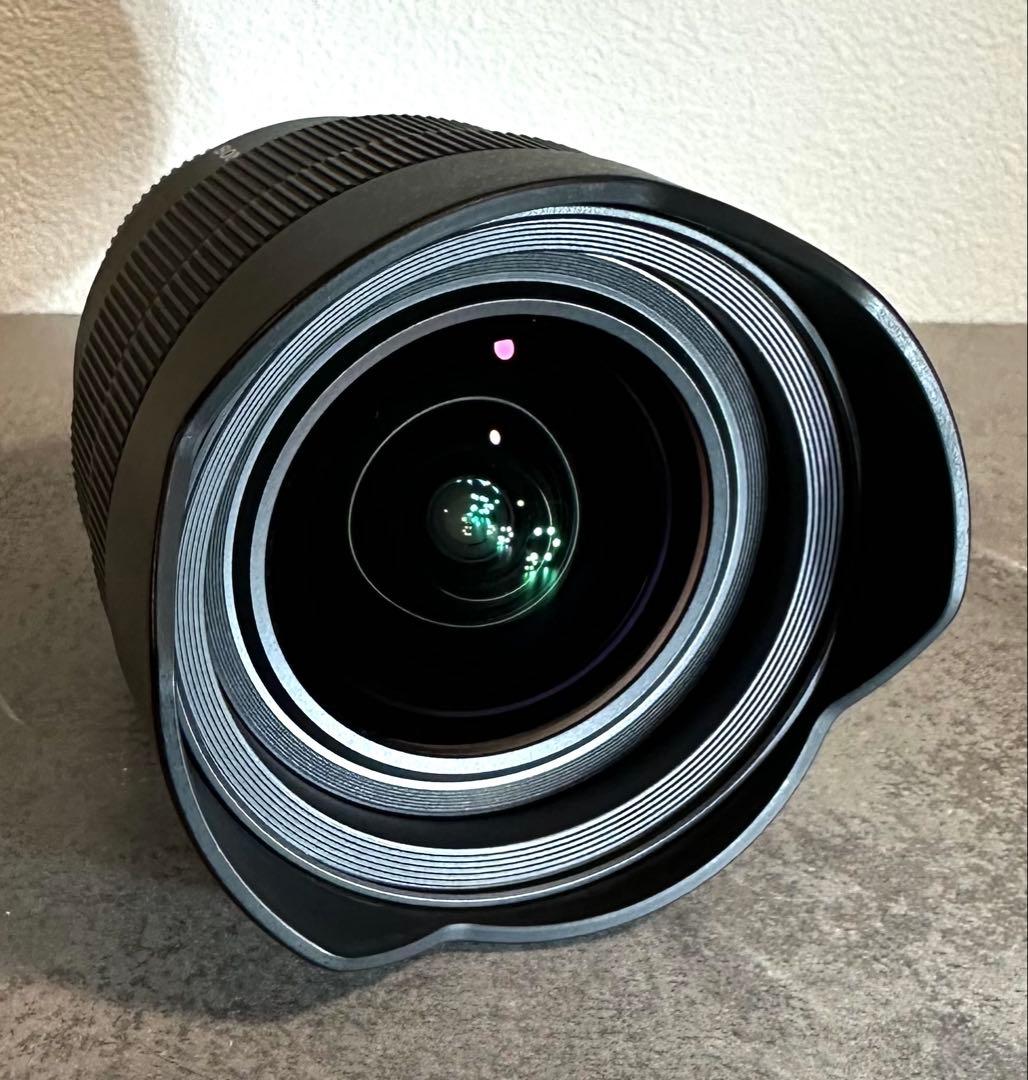 【美品・防湿庫保管】SONY FE 12-24mm F4 G SELP1224G