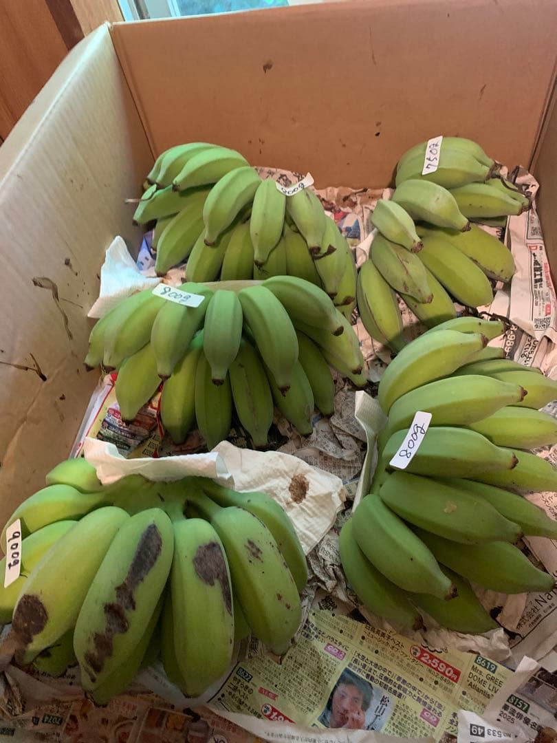 Ichimomo様　ご予約