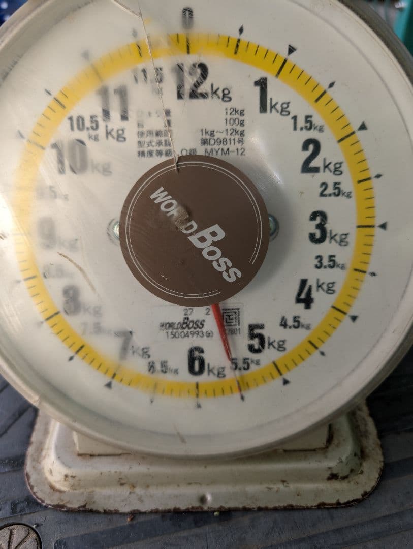 山梨県産ぶどう　美和姫　8房入り箱込み約5.5kg