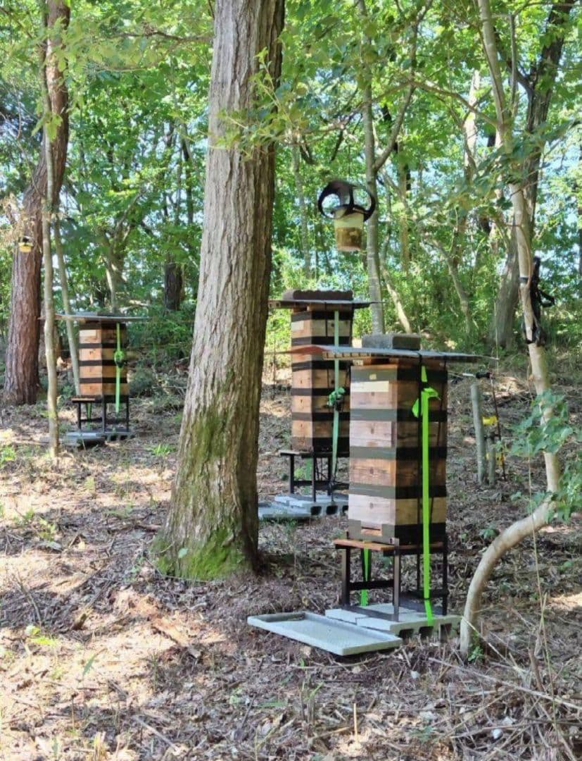 日本みつばち採りたて(生蜂蜜1800g+巣蜜373g)　コムハニー#12宮城県産