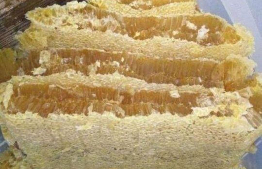 日本みつばち採りたて(生蜂蜜1800g+巣蜜373g)　コムハニー#12宮城県産