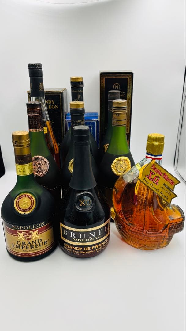 未開栓 ブランデー ナポレオン 12本セット まとめ売り 同梱不可