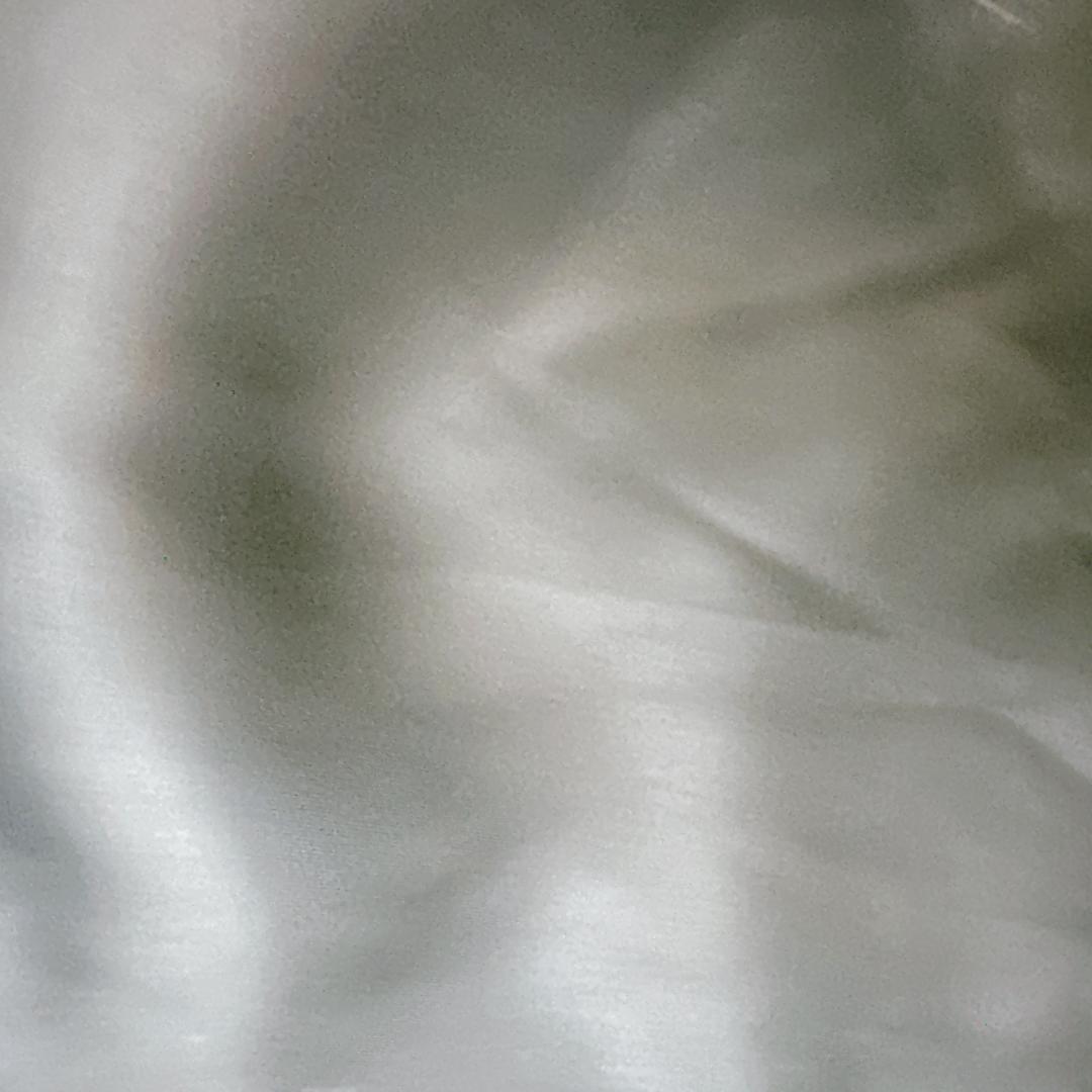 SAGA MINK 毛皮コート ダークブラウン 銀タグ