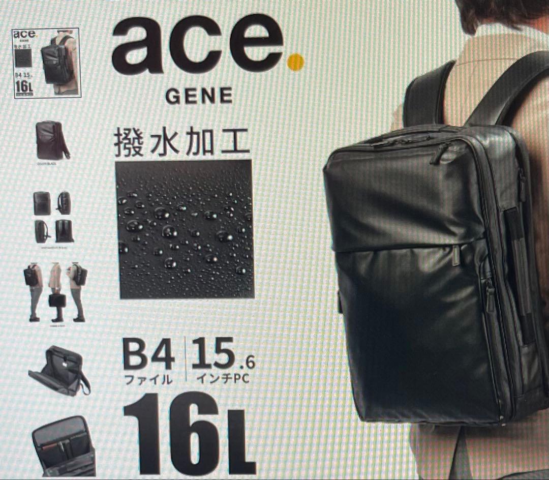 価格ダウン　美品　ACE ガジェタブルWR2 GENE LABEL 68663
