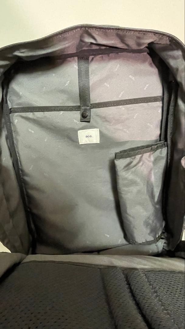 価格ダウン　美品　ACE ガジェタブルWR2 GENE LABEL 68663