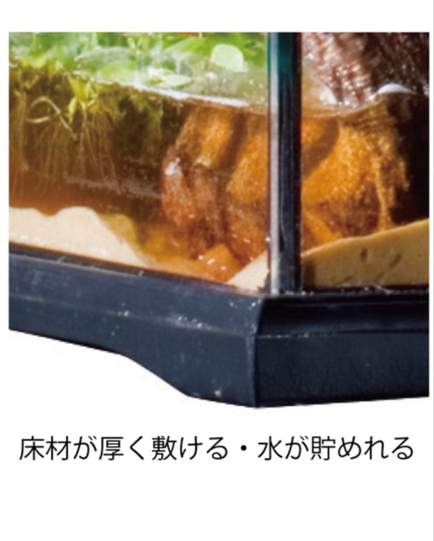 GEX エキゾテラ グラステラリウム 4545 PT2605