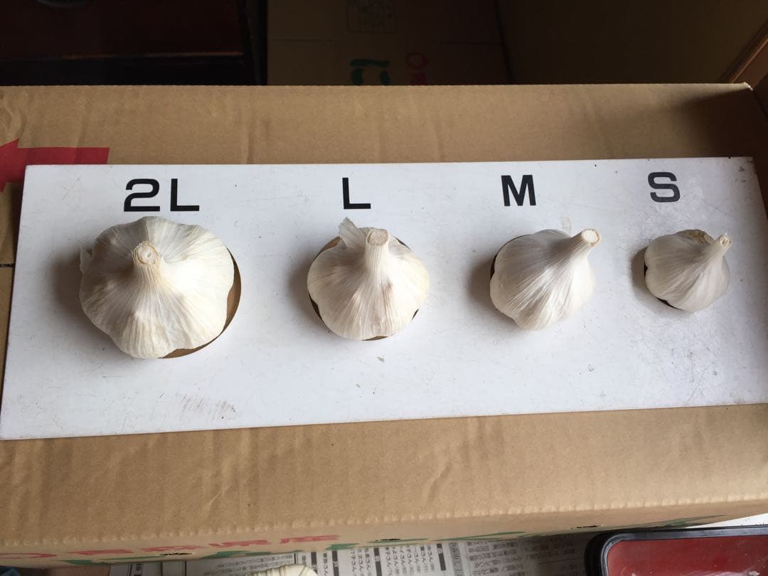 青森県産にんにくSサイズ10キロ