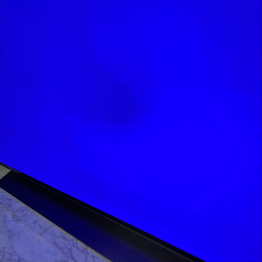 即日受渡❣️全国送料込3年前購入LG55型4k超高画質有機ELTV.ネット視聴可