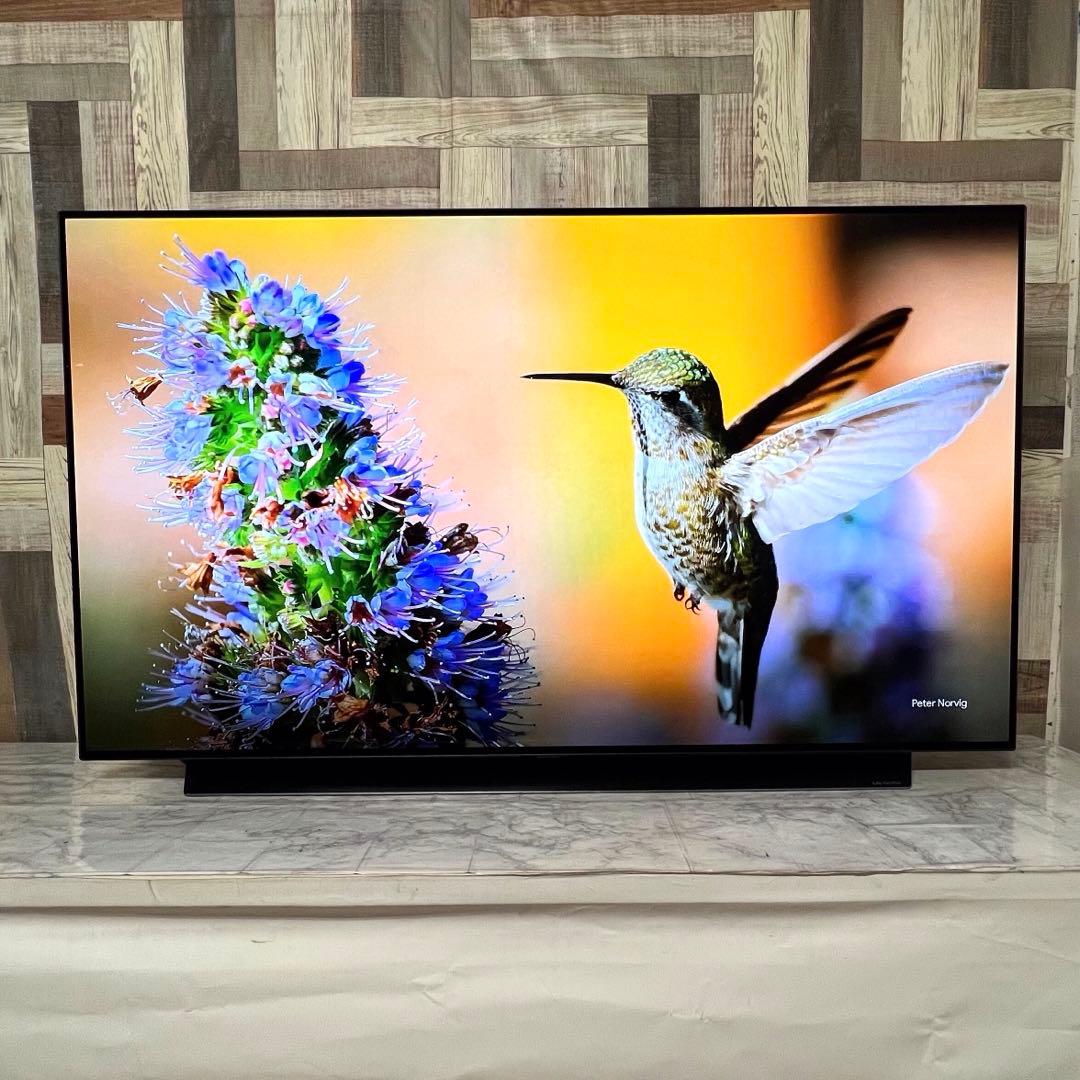 即日受渡❣️全国送料込3年前購入LG55型4k超高画質有機ELTV.ネット視聴可