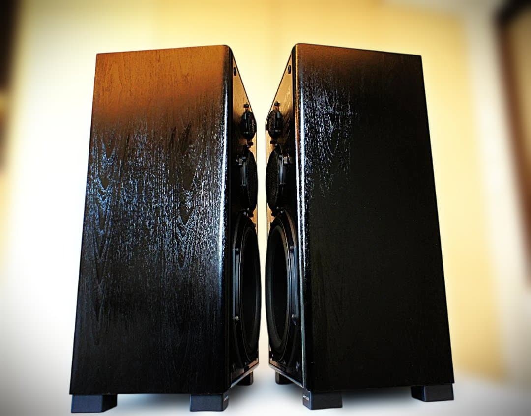 【超美品】　DIATONE ダイヤトーンスピーカー DS-77EXV ：（R側）